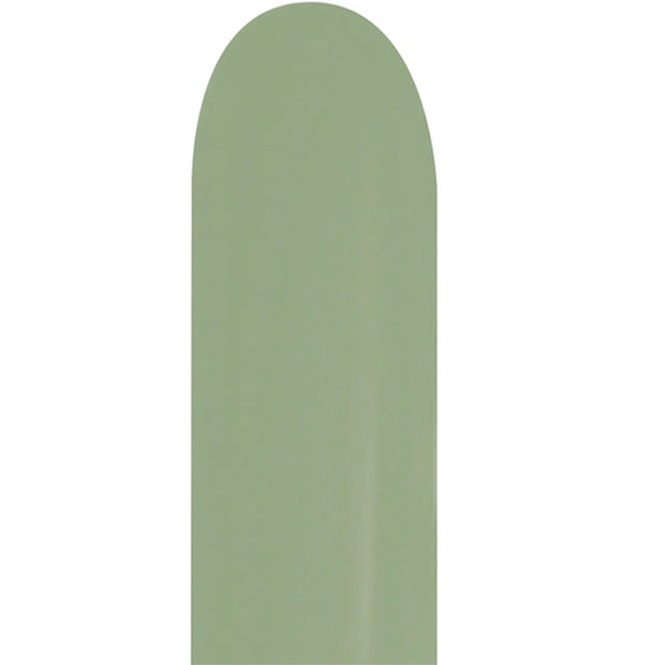 260B Deluxe Eucalyptus Latex balloons 50 Twisting