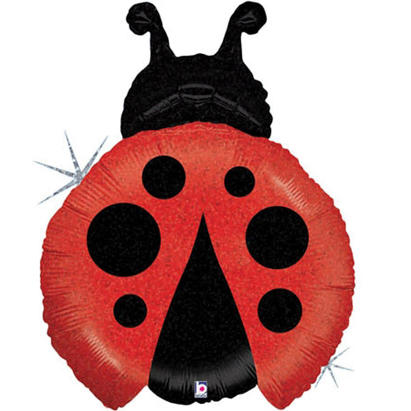 Ladybug balloon