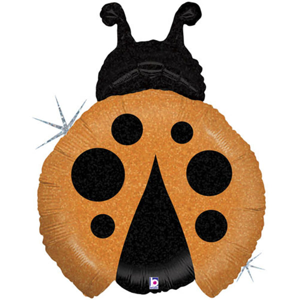 Ladybug balloon 