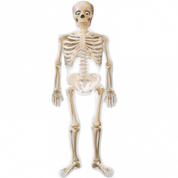 Skull hallooween balloon